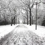 Friends of Norfolk Heritage Park