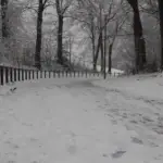 Friends of Norfolk Heritage Park